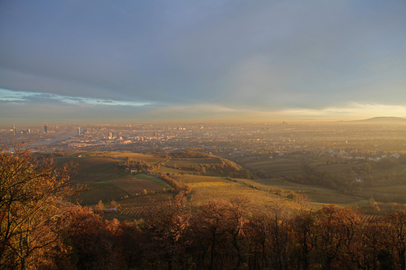 Wien vom Kahlenberg