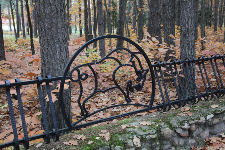 Белавежская пушча – Białowieża Forest – Puszcza Białowieska